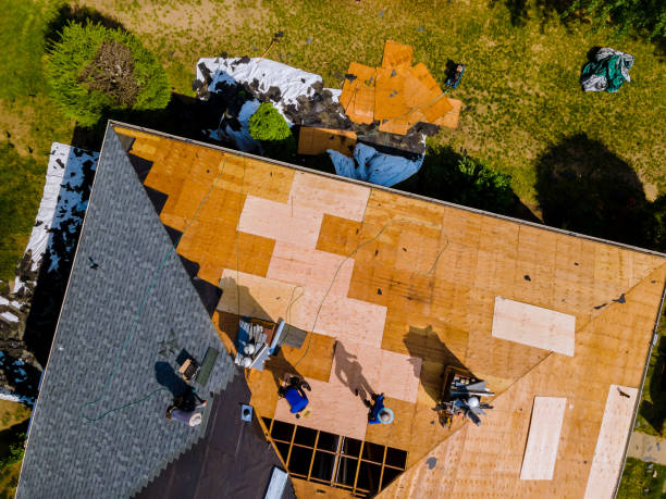 Best Roof Gutter Cleaning  in North Vernon, IN