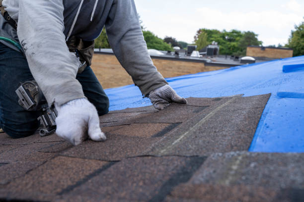 Best Roof Leak Repair  in North Vernon, IN